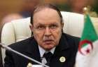 رئیس جمهور الجزایر: تروریسم محکوم است