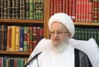 بیانیه آیت الله مکارم شیرازی در حمایت از صدور حکم ضد تکفیر شیخ الازهر