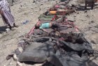 ۳۰ شهید و زخمی حاصل حملات جنگنده های سعودی به یک بازار در مأرب/ حمله به مواضع سعودی در جیزان و عسیر