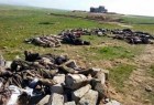 هلاکت دهها داعشی در کرکوک و صلاح الدین/ آزادی 4 روستا در جنوب موصل