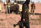 هلاکت وزیر اطلاع رسانی داعش/کشته شدن 20 سرباز در انفجار انتحاری در رطبه
