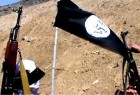 بازداشت عوامل جذب گروه تروریستی داعش در پاکستان