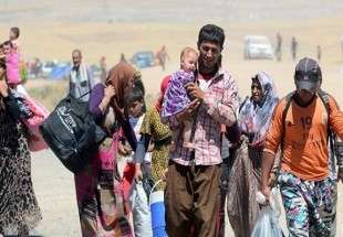 بازگشت 57 هزار خانواده آواره عراقی دیگر به استان الانبار