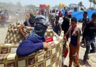 بازگشت بیش از 900 خانواده به جلولای عراق