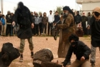 داعش چهار عضو خود را اعدام کرد
