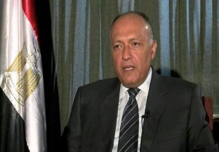 اختلاف دیدگاه مصر با عربستان درباره اوضاع سوریه