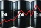 أسعار النفط تقفز بعد تفاؤل بنتائج اجتماع الجزائر