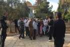 بیش از 70 شهرک نشین تندرو یهودی وارد مسجد الاقصی شدند/حماس: انتفاضه قدس گامی مهم در مسیر تحقق خواسته های ملت فلسطین است