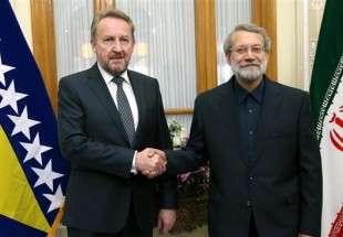 Global resolve pivotal in terror fight: Larijani