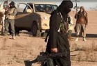 ظهور مجدد داعش در الجزایر