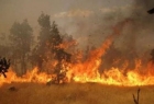 خسارت رژیم صهیونیستی در آتش‌سوزی «حیفاء»
