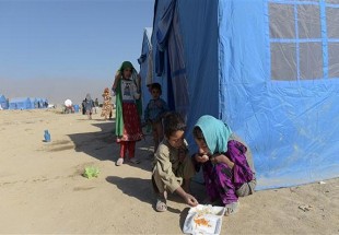 آواره شدن نیم میلیون افغان در 2016