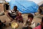 نیمی از مردم یمن از کمبود مواد غذایی اولیه رنج می برند