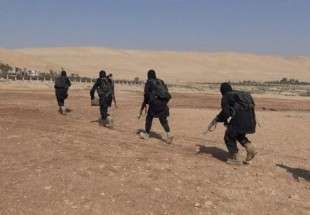 Several ISIL terrorists slain in Syria’s liberation ops