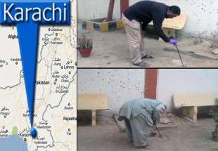 کراچی: نامعلوم افراد کا تھانے پر دستی بموں سے حملہ