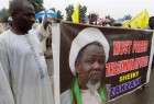 Amnesty calls for release of Nigerian Shia cleric
