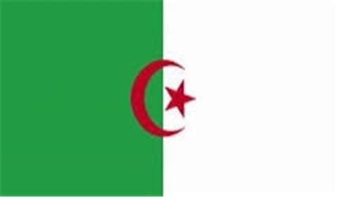 الجزائر تحظر ظهور التكفيريين والمشعوذين على الفضائيات