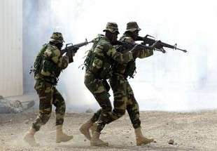 سینیگال کی فوج گیمبیا میں داخل ہو گیئ