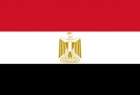 ​الخارجية المصرية : مصر لم تشارك محادثات استانة وتنسق مع الجانب الروسي