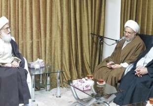 Top cleric receives organizers of 30th Int