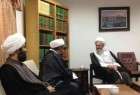 Ayat. Sobhani: Protecting Sheikh Isa Qassim is obligatory