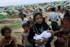 UN: Over 1,000 Rohingya feared killed