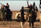 200Daeshi terrorists prevented fleeing Iraq for Syria