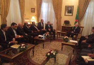 وزیر فرهنگ و ارشاد اسلامی با رییس مجلس سنای الجزایر دیدار کرد