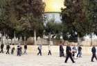 ممنوعیت ورود گروهی از فلسطینیان به محوطه مسجدالاقصی
