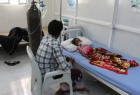 Cholera outbreak in Yemen, hospitals admit beyond capacity