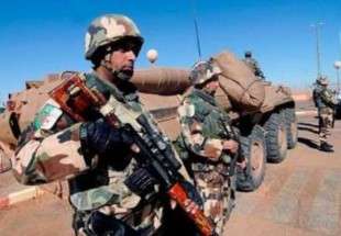 هلاکت پنج تروریست در الجزایر