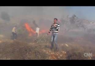 Les colons sionistes met à feu les champs agricoles sous la protection de l