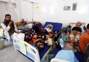 Cholera rises in Yemen by 50%: WHO warns