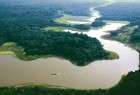 نهر الأمازون قد يجف بسبب تدهور النظام البيئي
