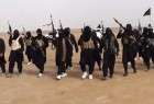 "داعش" يعدم  "مفتي شرعي" له في تلعفر