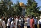 جمعیت علمای اردن، تعرضات صهیونیست ها به مسجدالاقصی را محکوم کرد