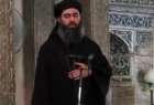​پنتاگون: ابوبکر بغدادی در تصمیم‌گیری‌های داعش شرک ت ندارد
