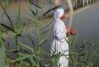 Iranian Mandaeans mark festival of water (photo)  <img src="/images/picture_icon.png" width="13" height="13" border="0" align="top">