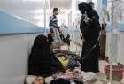 منظمة الصحة العالمية: الكوليرا أودت بحياة أكثر من 1800 يمني‎
