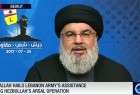 Nasrallah says Arsal operation decided solely by Hezbollah