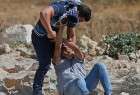 Violence against Palestinians is violation of humanity: Ayatollah Araki