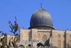 تحرکات اقلیت های اسلامی و عربی و فلسطینی آلمان در حمایت از مسجد الاقصی