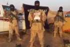 مقام امنیتی کویتی: از تهدیدات داعش نمی هراسیم