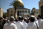 عدد كبير من المستوطنين الصهاينة يقتحمون المسجد الاقصى بحراسة قوات العدو