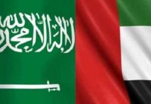«القاعدة» ينسحب من عزان: تقاسم نفوذ بين الرياض وأبو ظبي؟