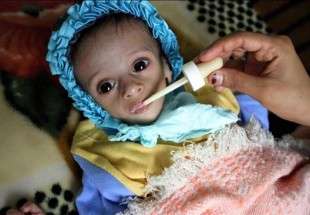 La famine menace 17 millions Yéménites