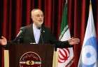 Iran to carry out photon entanglement test in comming months: Salehi