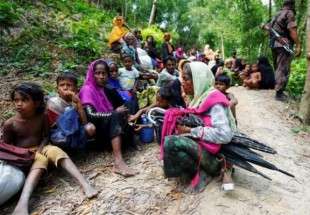 ​سازمان ملل از آوارگی بیش از سه هزار مسلمان روهینگیا خبر داد
