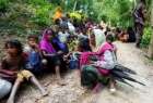 ​سازمان ملل از آوارگی بیش از سه هزار مسلمان روهینگیا خبر داد