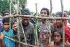 دلیل خشونت در میانمار دهه‌ها سوء استفاده‌ سیستماتیک، علیه مسلمانان است